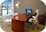 ANEX OFFICE - Executive Office with window